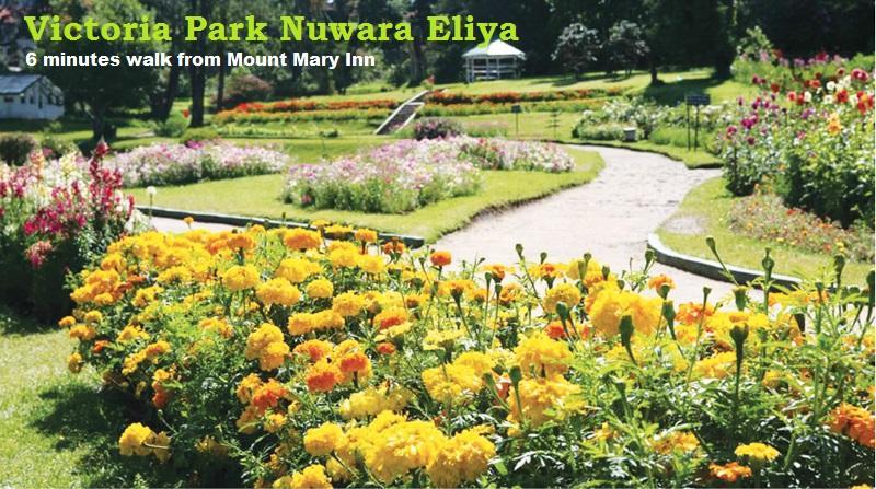 Mount Mary Inn Nuwara Eliya Bagian luar foto