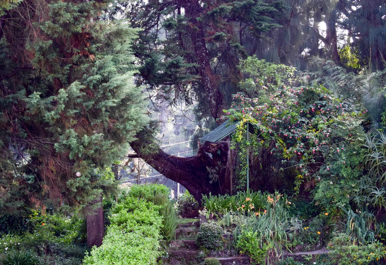 Mount Mary Inn Nuwara Eliya Bagian luar foto