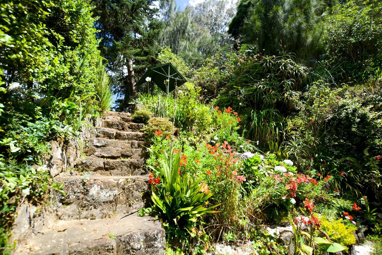 Mount Mary Inn Nuwara Eliya Bagian luar foto